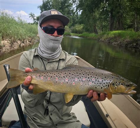 Beautiful Fish In A Beautiful Grizzly Hackle Fly Shop