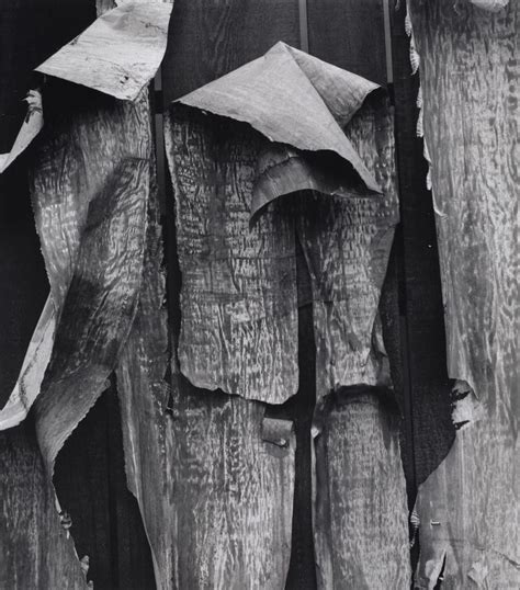 Aaron Siskind Chicago Photographers Aaron Siskind Art