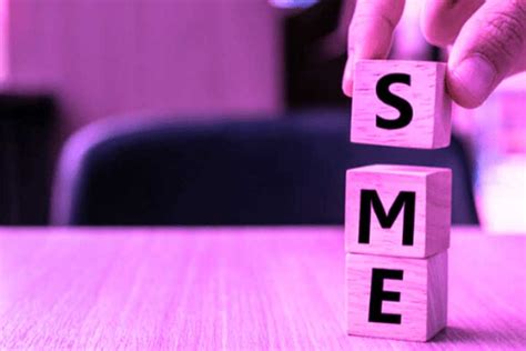What Are Small And Medium Sized Enterprises Smes