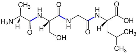 Aminosäuren sind amphotere substanzen, die in neutraler wässriger lösung und in festem zustand. Datei:Peptide Bonds Tetrapeptide V.1.png - Wikipedia
