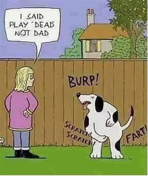 Dog Jokes Cartoon Jokes Funny Cartoons Funny Comics D