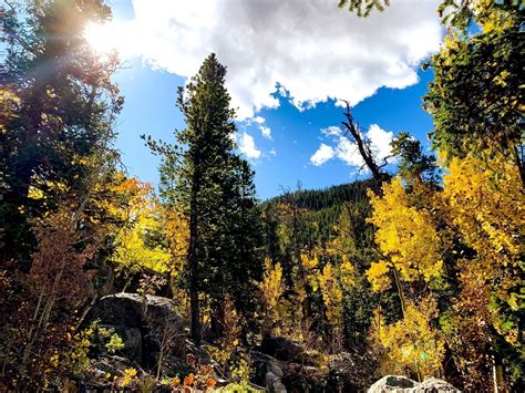 Golden Gate Canyon Is The Best Place To See Fall Foliage In Colorado