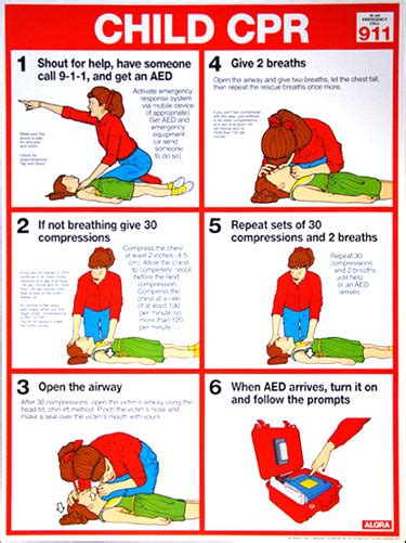 Child Cpr First Aid Wall Chart Poster 2013 Aha Guidelines Fitnus