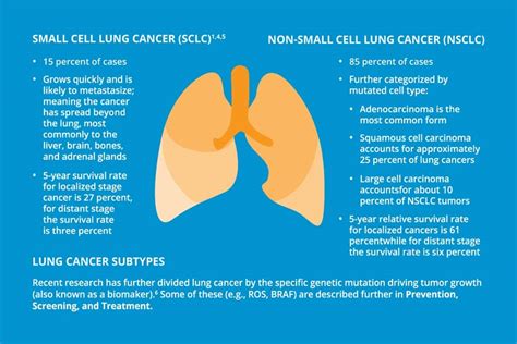 Common Types Of Lung Cancer The 4 Most Common Types