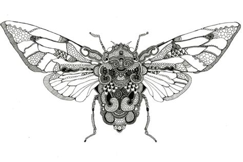 Rosalind Monks Insect Art Bug Art Insects