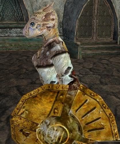 Elder Scrolls Online Beta Disappointing Female Argonians The Cake