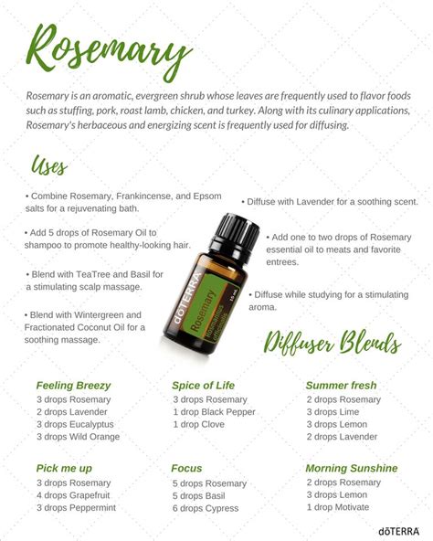 Doterra Rosemary Essential Oil Uses And Recipes Holistic Health And Wellness