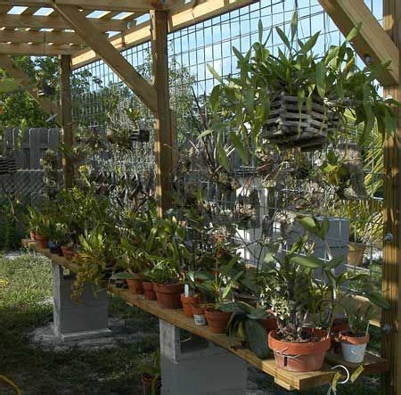 However, they have in common their ability to thrive in darker places with much less water and attention than conventional houseplants. diy cheap orchid shade house - Google Search | Orchid house, Diy orchids, Shade house