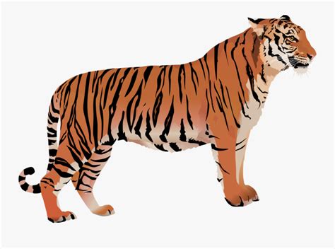 Download Clip Art Bengal Tiger Cartoon - Bengal Tiger Vector Png ...