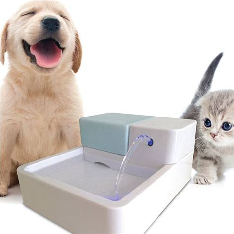 Best Dog Water Fountain Top Dog Water Fountains Reviewed Pet Water