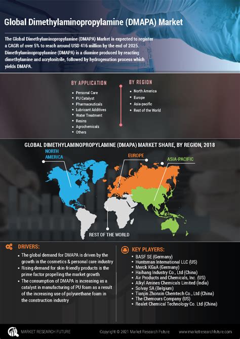 Infographics Dimethylaminopropylamine Market Size Share Growth Report 2030 Market
