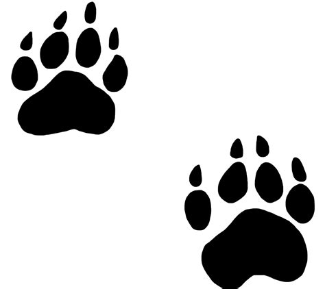 Paw Png Transparent Image Download Size 1654x1476px