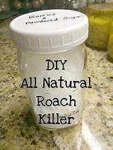 Roach Killing Home Remedies