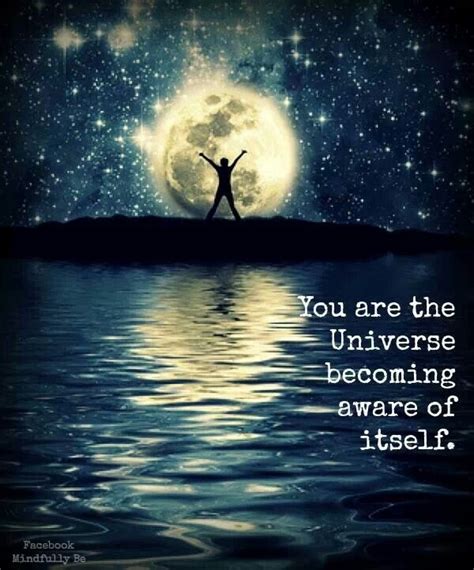 48 most famous alan watts quotes and sayings. You are the Universe becoming aware of itself | Picture Quotes