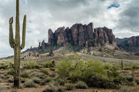 The Diverse Beauty Of The Desert Landscape Of Arizona Stock Image