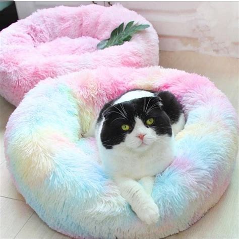 Calming Bed The Soothing Anti Anxiety Cat Bed The Meowy