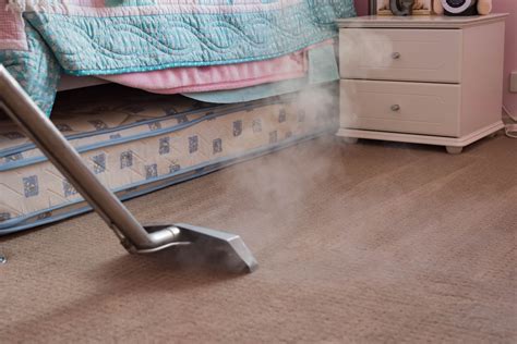 Eco pro cleaning solutions brings professional carpet cleaning services to the residents of reno/tahoe area. Carpet Cleaning: Eco Friendly Cleaning Methods | Home ...