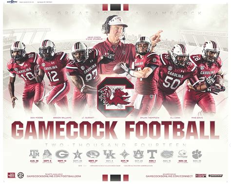 South Carolina Gamecocks Football University Of South Carolina Hd Wallpaper Pxfuel