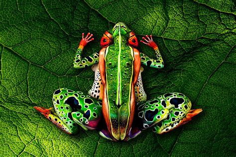Amazing Nature Inspired Body Art Illusions By Johannes Stoetter Bored