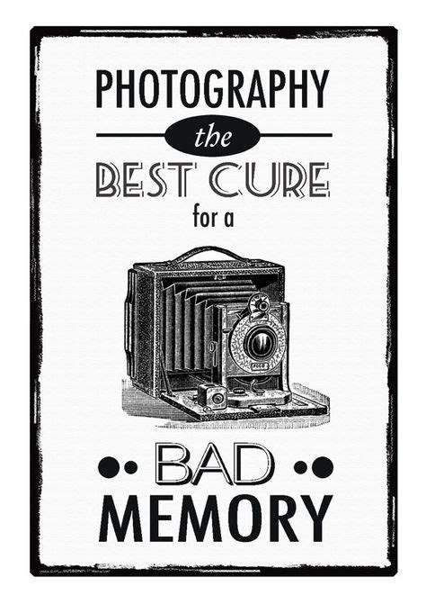 27 Photography Humor Ideas Funny Photography Photographer Humor Humor