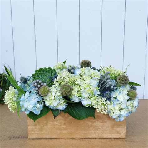 Check spelling or type a new query. Nantucket Blues... hydrangea, succulent and thistle ...