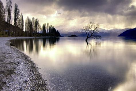 Lake Wanaka The Alone Tree New Zealand