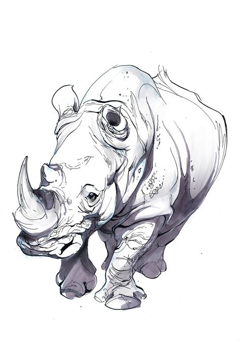 A Drawing Of A Rhinoceros Is Shown In Black And White