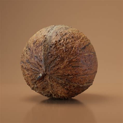 Coconut 1 - BlenderBoom