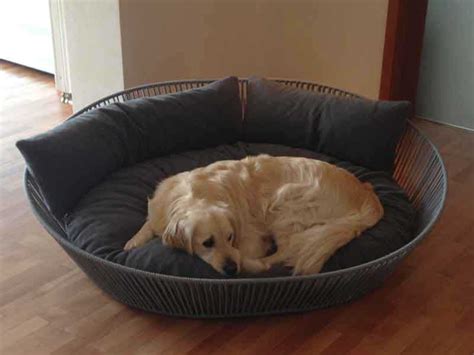 Check spelling or type a new query. dog beds with 100 % latex cushion in high-end workmanship.