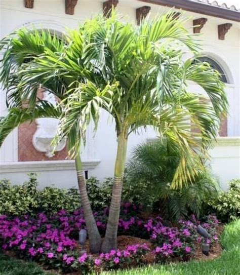 45 Awesome Florida Landscaping With Palm Trees Ideas