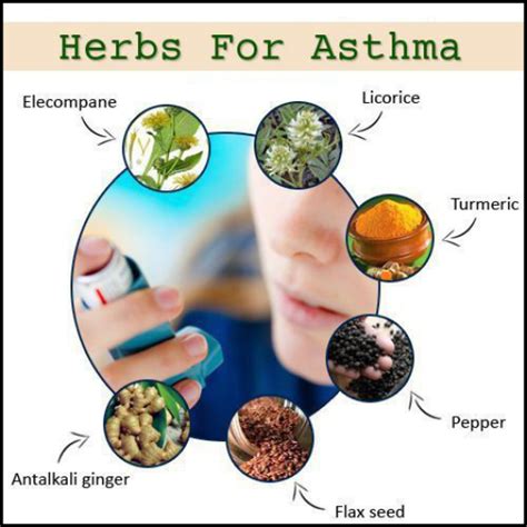 Top 10 Herbs For Treating Asthma Top 10 Home Remedies