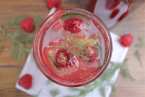 Dieser sirup verleiht ihren getränken einen besonderen geschmack! Himbeer-Colakraut Shrub - Schmeck's