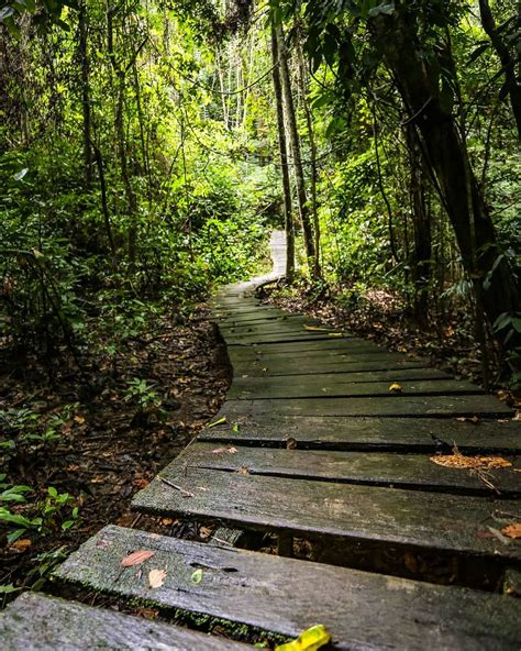 The cost of landscaping can vary widely based on the type of plants you wish to have, the amount of grading required, the condition of the land before work begins, and other factors. Landscaping Jobs Near Me 2019 (Dengan gambar) | Taman ...
