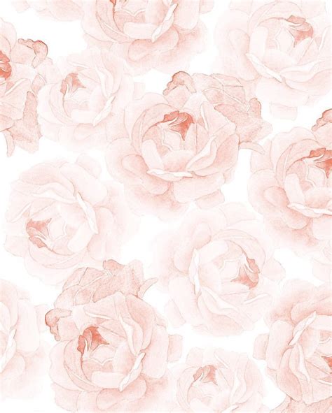 Watercolor Roses Wallpaper Iar412ekag