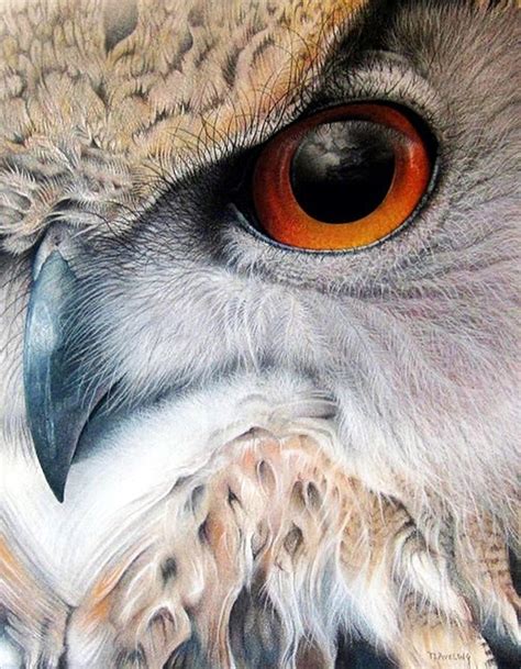 Shop devices, apparel, books, music & more. 40 Color Pencil Drawings To Having You Cooing With Joy ...