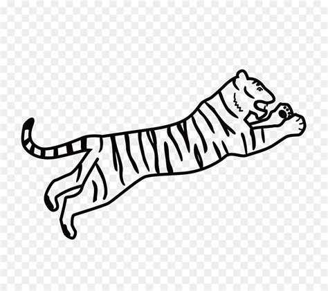 Lo he pasado muy bien leyendo tigre blanco. Tigre Blanco Animado Para Dibujar - Find Gallery