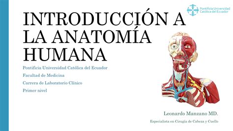 Unidad 1 IntroducciÓn A La Anatomia Humana