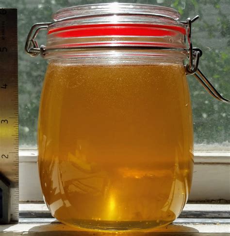Jar Of Honey Berny Hi