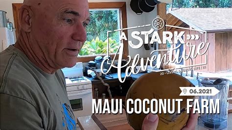 Maui Coconut Farm Hidden Gem In Haiku Youtube