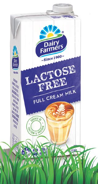 การแพ้น้ำตาลแลคโตส (lactose intolerance) หรือการขาด/พร่องเอนไซม์แลคเตส (lactase deficiency) คือ ภาวะที่ลำไส้ไม่สามาร. Dairy Farmers Lactose Free Full Cream Milk