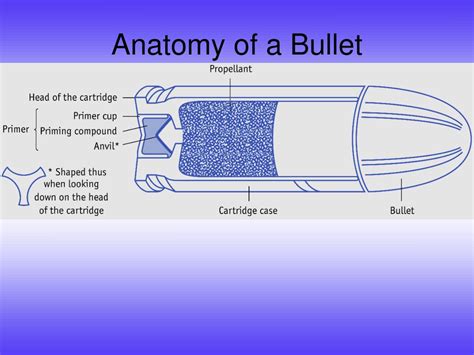 29 Diagram Of A Bullet Wiring Diagram Ideas