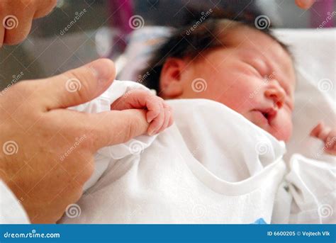 A Neonate Stock Image Image Of Nurseling Baby Birth 6600205
