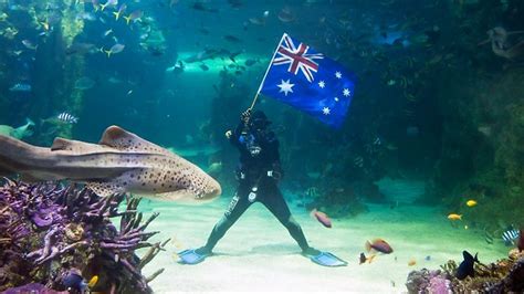 Merlin Entertainments Owner Of Sydney Aquarium Planning
