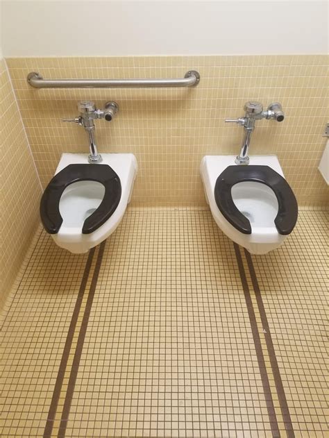 This Stall Has Two Toilets Rmildlyinteresting