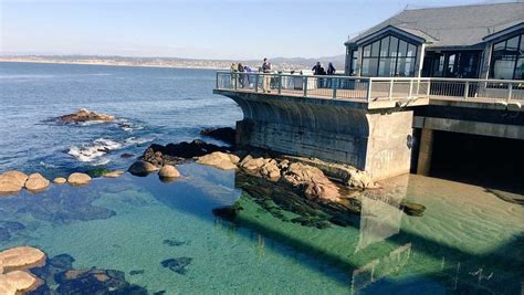 Free Monterey Bay Aquarium Admission For Central Coast