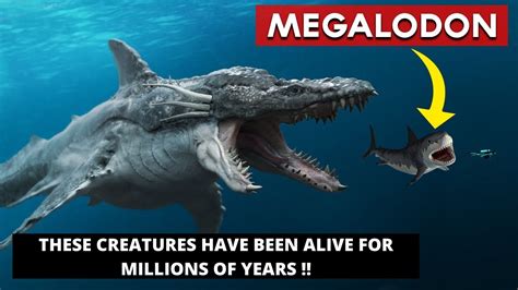 10 Sea Monsters That Are Scarier Than Megalodon Youtube
