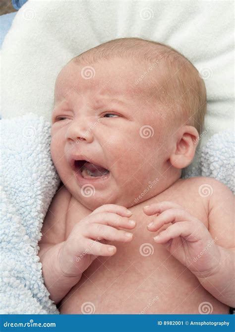 Newborn Baby Crying Stock Image Image 8982001