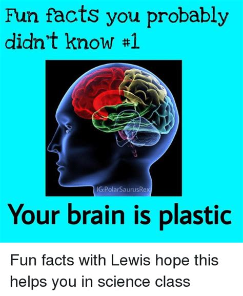 Fun Facts You Probably Didnt Know 1 Igpolarsaurusre Your Brain Is