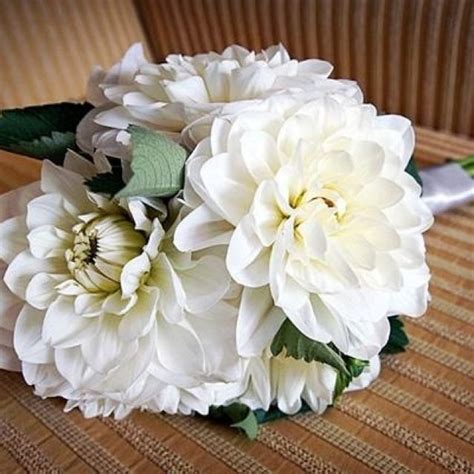 Un bouquet delicato per il lieto evento della nascita prodotto appartenente alla categoria bouquets disponibile con vendita online e consegna a domicilio in sri gigli bianchi e fiorellini (bouquets). What would be our 'Bride to Be' dahlia | Bouquet, Fiori