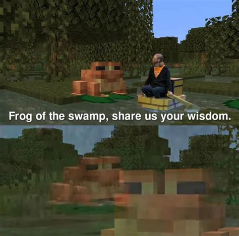 Frog Of The Swamp Share Us Your Wisdom Memes Imgflip